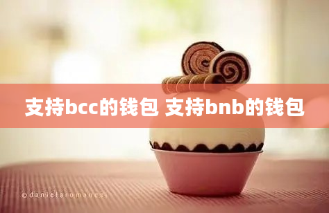 支持bcc的钱包 支持bnb的钱包