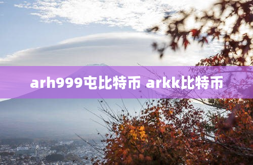 arh999屯比特币 arkk比特币