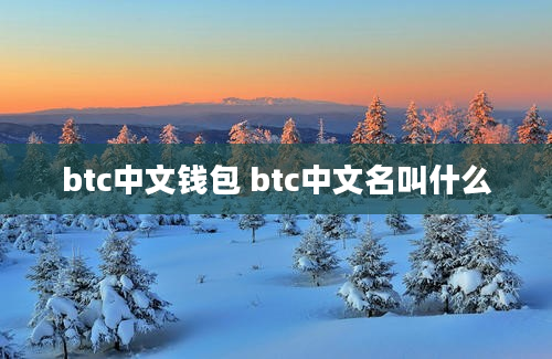 btc中文钱包 btc中文名叫什么