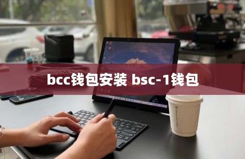 bcc钱包安装 bsc-1钱包